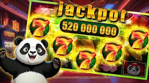 rainbet