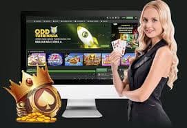 rainbet